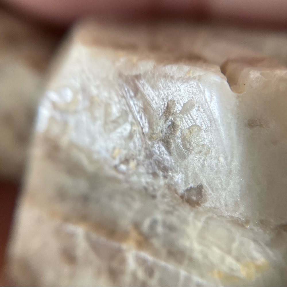 Zuni Picasso Jasper Marble Wolf Hand Carved Bu Zuni Artist Davey Cooeyat… - Picture 8 of 8